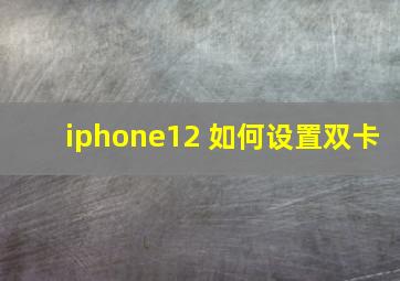 iphone12 如何设置双卡